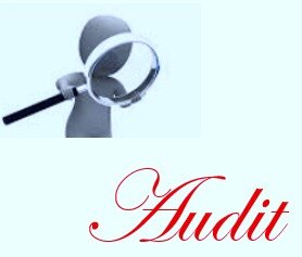 Disability accessibility audit in progress